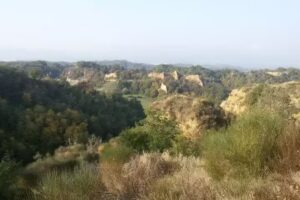 Casa del Gonfaloniere