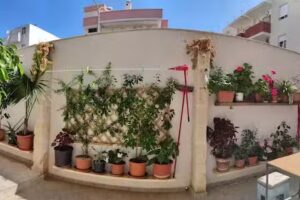 Casa della Nonna Polignano a mare