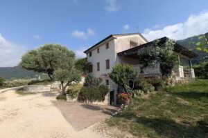 Cａｓａ• Dｏｌｃｅ• Cａｓａ