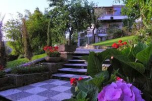 Casa Gaia Sorrento Bio Vacanze