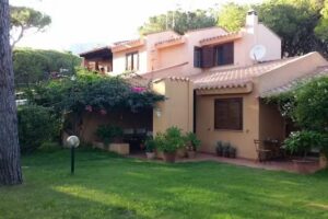 Casa Helichrysum Q2196