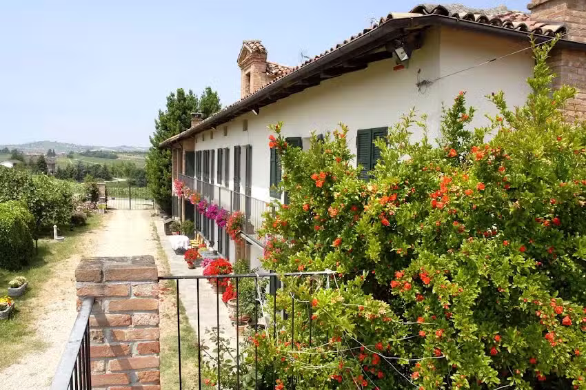 Casa Molisso wine bnb