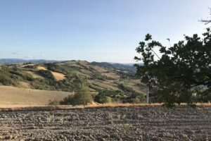 Casa Mora B&B e Cantina