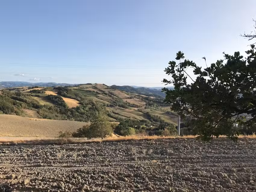 Casa Mora B&B e Cantina