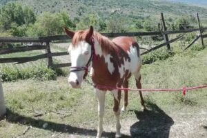 Casa Nel Borgo Pastorale