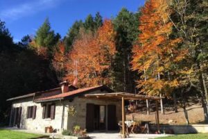 CASA SILVA_CAMPORINO ( Nel Cuore del Parco Delle Foreste Casentinesi).