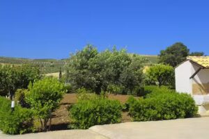 Casa Vacanza Dattilo