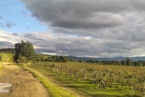 Casa vacanza Le Lastre