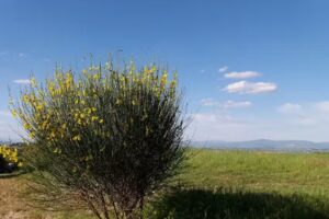 Casa Vacanze Casabella