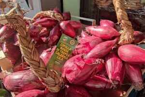 Casa Vacanze Corigliano