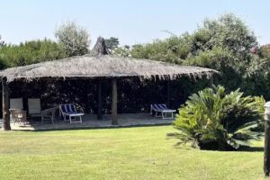 Casa Vacanze Fattoria Vecchia