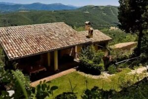 Casa vacanze “IL CARPINO”
