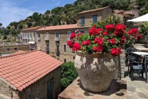 Casa Vacanze Palazzo della Cortiglia