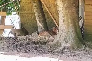 Casa vacanze Pezzolo