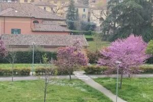 Casa Vacanze Santa Viola di L.S. CIN IT037006B4IDZ6O7ZL – CIR 037006-CV-00243 Y04970