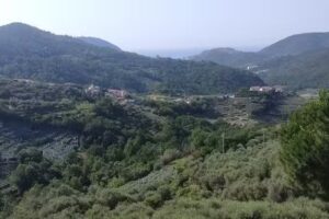 Casa Vacanze Tra gli Ulivi