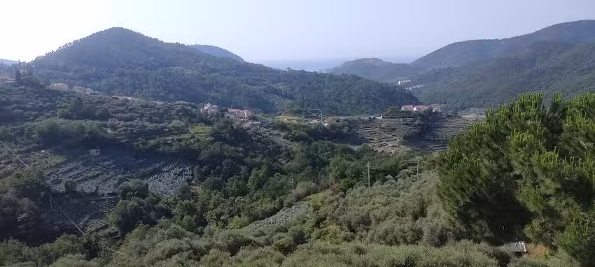 Casa Vacanze Tra gli Ulivi