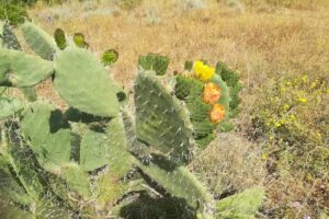 Casa vacanze Villa Marianna