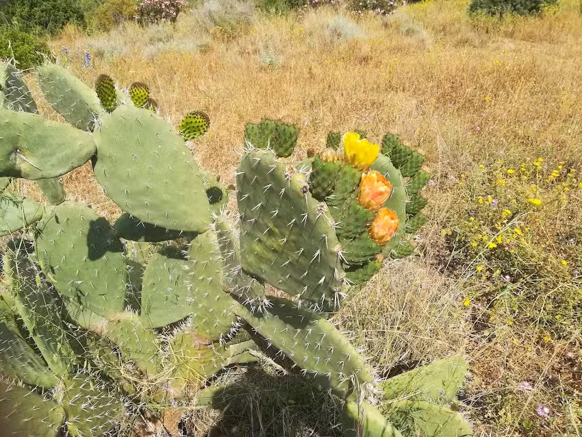 Casa vacanze Villa Marianna