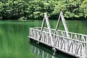 Casa Vacanze Villaggio Mancuso