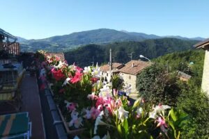 Casa Vacanze Vologno