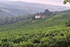 Casa Viberti, Dimora storica con vista mozzafiato sulle Langhe