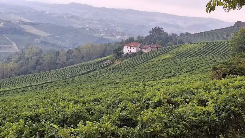 Casa Viberti, Dimora storica con vista mozzafiato sulle Langhe