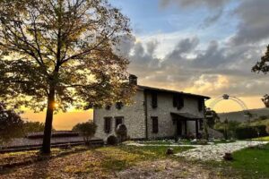 Casale La Quercia BnB and Olive Oil Production