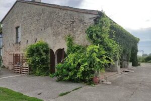 Cascina Cavalta Bio&Eventi