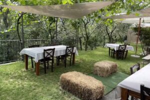 Cascina del Francès – Agriturismo e Moscato di Scanzo DOCG