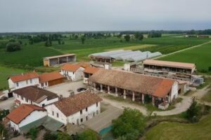 Cascina San Donato – Azienda agricola – Vendita diretta frutta e verdura – Fattoria Didattica