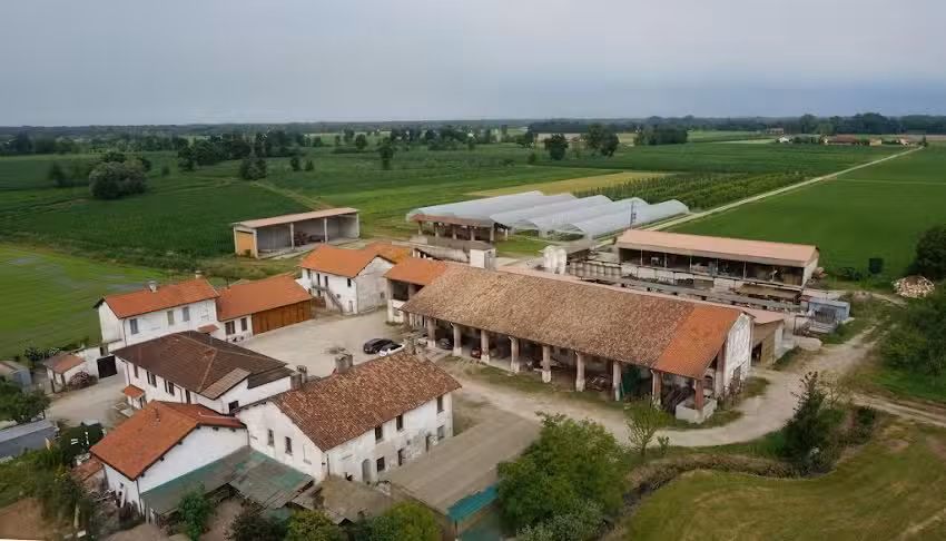 Cascina San Donato – Azienda agricola – Vendita diretta frutta e verdura – Fattoria Didattica