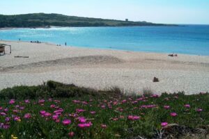 case vacanza holiday apartment Fast&Easy