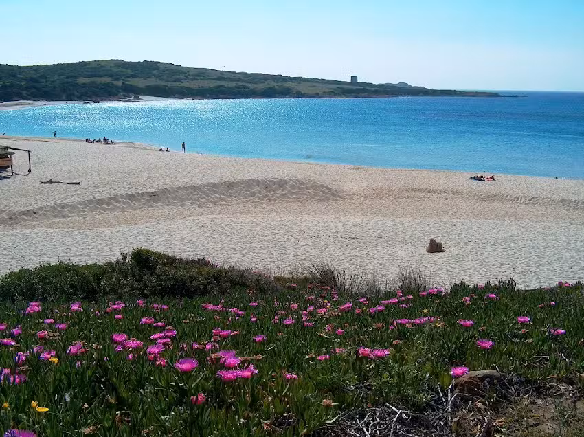 case vacanza holiday apartment Fast&Easy