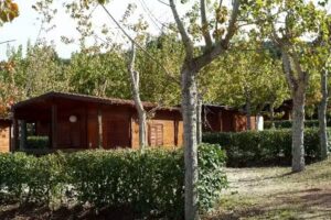 Case Vacanze Citrigni Peschici