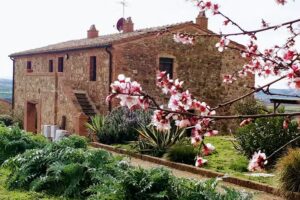 Casetta Tre Poderi appartamento Cactus e Papaveri