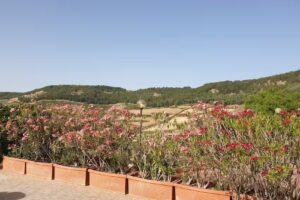 Casmene – Azienda Agrituristica