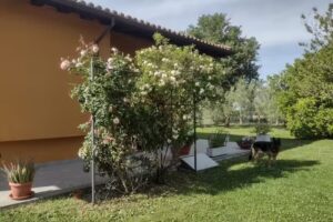 Casona Serrari Guest House