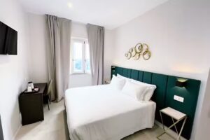 Cassia Collection 1736