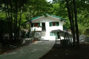 Castagneto Dell’etna