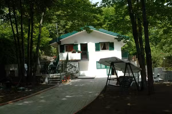 Castagneto Dell’etna