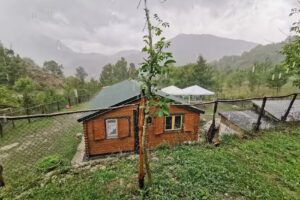 Castel Manfrino (Albergo Ristorante)