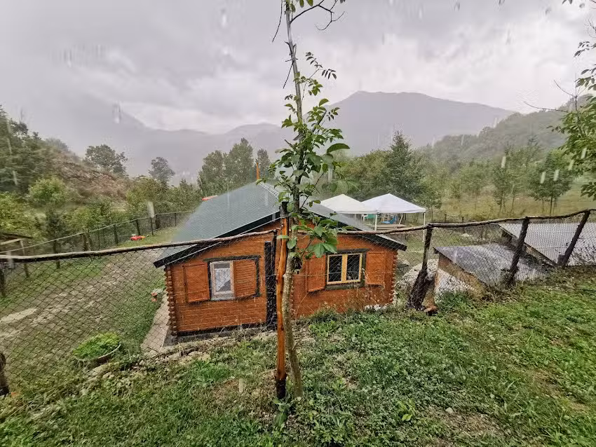 Castel Manfrino (Albergo Ristorante)