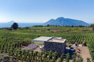 Castellaro Wine Resort