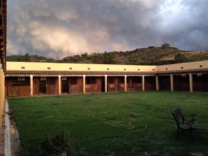 Cavalli di S’Arcaite