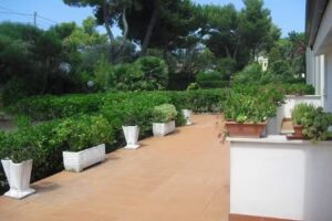 Centro Ospitalità Don Mottola