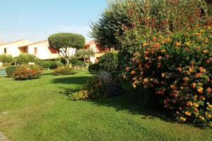 Centro servizi salina bamba porto coda cavallo