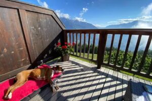 Chalet am Marlinger Berg