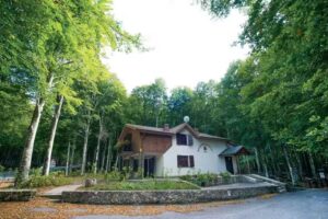 Chalet Il Cristallo