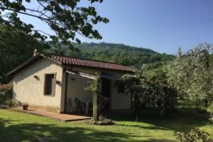 Chalet la sequoia, zona Terme di Orte